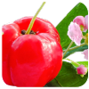 acerola