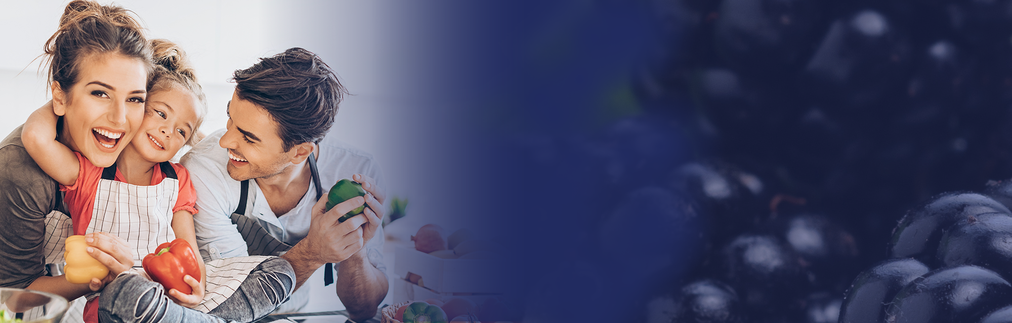 Flavon Immune