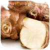 Jerusalem artichoke