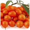 Sea buckthorn