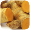 Curcuma